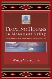 Floating Hogans in Monument Valley by Wanda M. Eilts