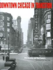 Cover of: Downtown Chicago in Transition | Eric Bronsky