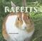 Cover of: Rabbits (Classroom Pets)