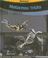 Cover of: Motocross Tricks (Motocross)