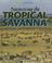 Cover of: Discovering the Tropical Savanna (World Habitats)
