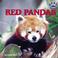 Cover of: Red Pandas (Paws and Claws)