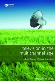 Television in the Multichannel Age by Megan Mullen