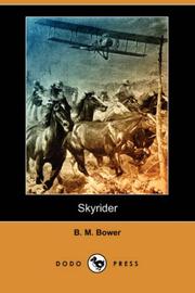 Cover of: Skyrider (Dodo Press)