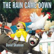 Cover of: The rain came down