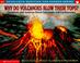 Cover of: Why Do Volcanoes Blow Their Tops?