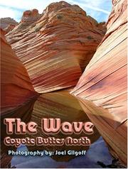 Cover of: The Wave - Coyote Buttes North