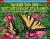 Cover of: Where Did The Butterfly Get Its Name?
