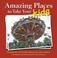 Cover of: Amazing Places to Take Your Kids in