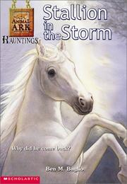 Cover of: Stallion in the Storm (Animal Ark Hauntings #1)