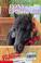 Cover of: Pony in a Package (Animal Ark Series #27)