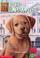 Cover of: Pup at the Palace (Animal Ark Series #30)