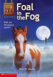 Cover of: Foal in the Fog (Animal Ark Hauntings #5)