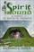 Cover of: Spirit Mound