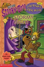 Cover of: Scooby-doo Stormy Night (Scooby-Doo! Picture Clue Books #16)