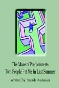 Cover of: The Maze Of Predicaments Two People Put Me In Last Summer | Brenda Andersen