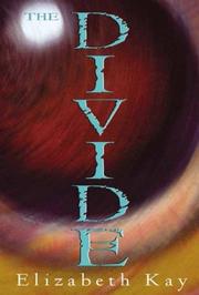 Cover of: The Divide