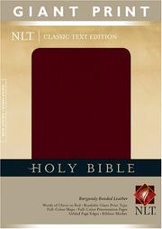 Cover of: Holy Bible, Giant Print NLT (Holy Bible: Nltse) | 