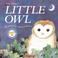 Cover of: Little Owl