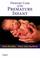 Cover of: Primary Care of the Premature Infant