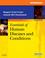 Cover of: Workbook for Essentials of Human Diseases and Conditions