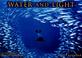 Cover of: Water and Light 2008 Wall Calendar