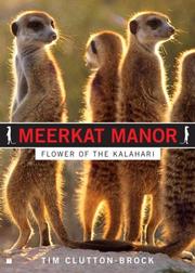 Cover of: Meerkat Manor: Flower of the Kalahari