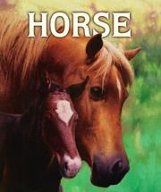 Cover of: Horse by Malachy Doyle