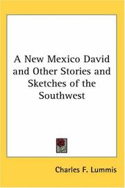 Cover of: A New Mexico David And Other Stories And Sketches of the Southwest