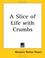 Cover of: A Slice of Life with Crumbs