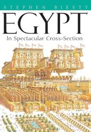 Cover of: Egypt by Stewart Ross