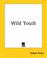 Cover of: Wild Youth And Another