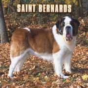 Cover of: Saint Bernards 2007 Calendar | BrownTrout Publishers