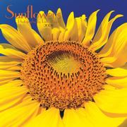 Cover of: Sunflowers 2008 Wall Calendar