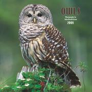 Cover of: Owls 2008 Square Wall Calendar