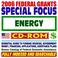 Cover of: 2006 Federal Grants Special Focus