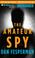 Cover of: Amateur Spy, The