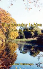 Cover of: The Wonder Is You by Andrew Blakemore, Andrew Blakemore