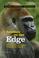 Cover of: National Geographic Investigates: Animals on the Edge