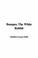 Cover of: Bumper, The White Rabbit