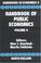 Cover of: Handbook of Public Economics Volume 4 (Handbooks in Economics)