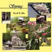 Cover of: Spring