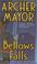 Cover of: Bellows Falls (Joe Gunther Mysteries)