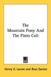 Cover of: The Mountain Pony And The Pinto Colt