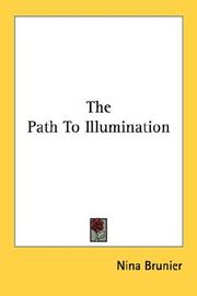 Cover of: The Path To Illumination | Nina Brunier