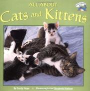 Cover of: All About Cats and Kittens (All Aboard Books)