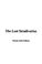 Cover of: The Lost Stradivarius