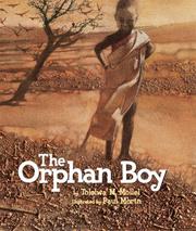 Cover of: The Orphan Boy