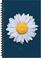 Cover of: Daisy Blank Writing Journal Notebook