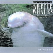 The Nature of Arctic Whales by Paine